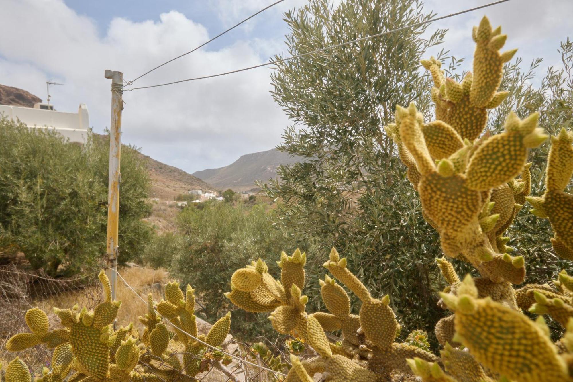 Casa El Limonero Holiday home *